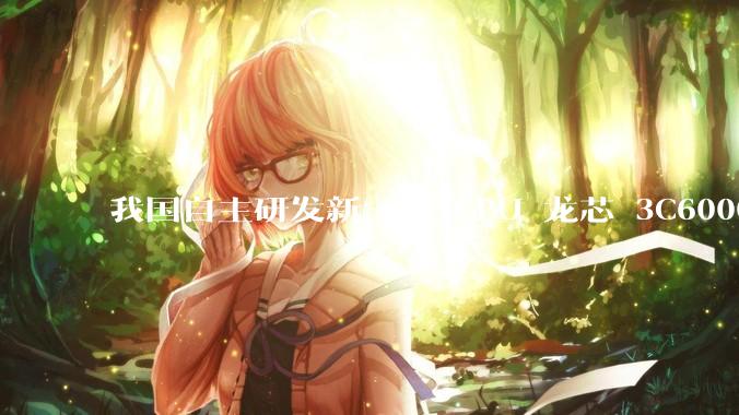 我国自主研发新一代 CPU 龙芯 3C6000 发布，不依赖国外授权技术和境外供应链，有何技术亮点？