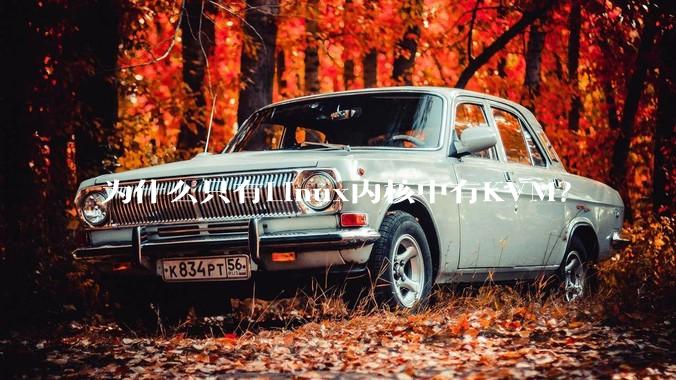 为什么只有Linux内核中有KVM？