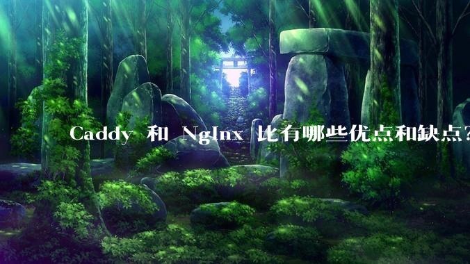Caddy 和 Nginx 比有哪些优点和缺点？