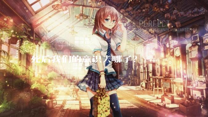 死后我们的意识去哪了？