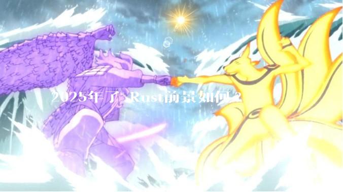 2025年了 Rust前景如何?