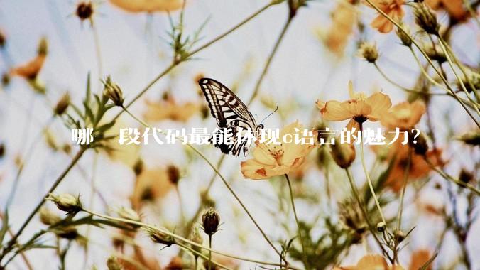 哪一段代码最能体现c语言的魅力？