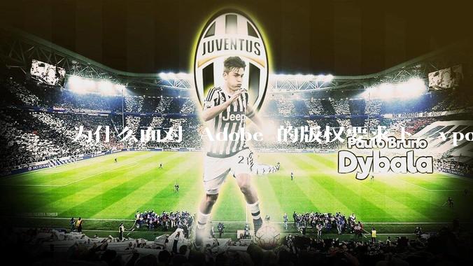 为什么面对 Adobe 的版权要求下，vposy 大神还能从容不迫？