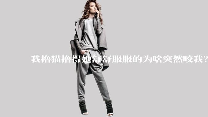 我撸猫撸得她舒舒服服的为啥突然咬我？