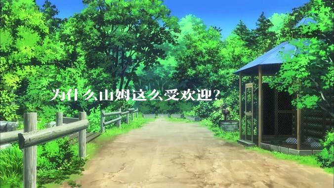 为什么山姆这么受欢迎？